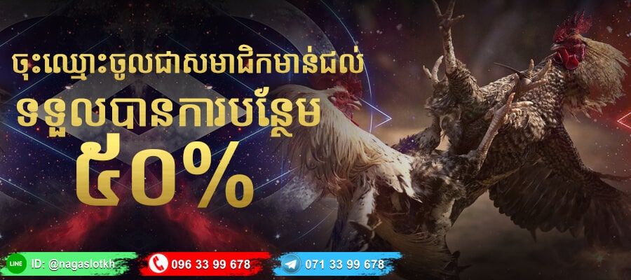 កាស៊ីណូអនឡាញ